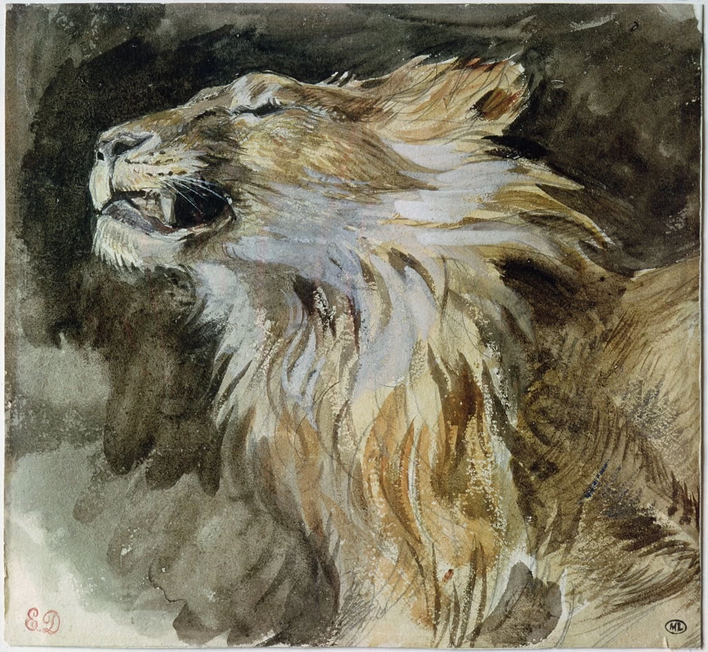 La testa di un leone - Louvre, Paris